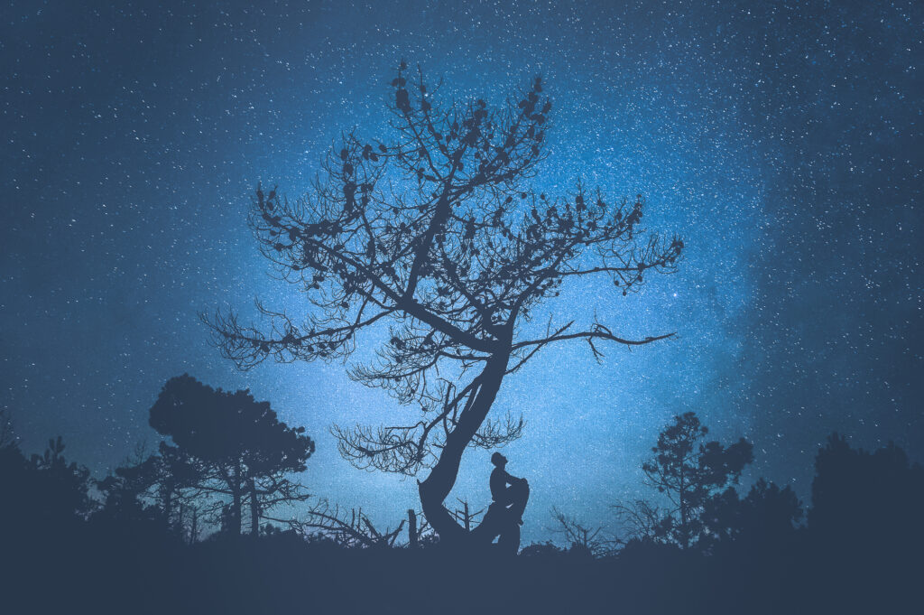 Un homme est assis sur un arbre sous un ciel étoilé de nuit