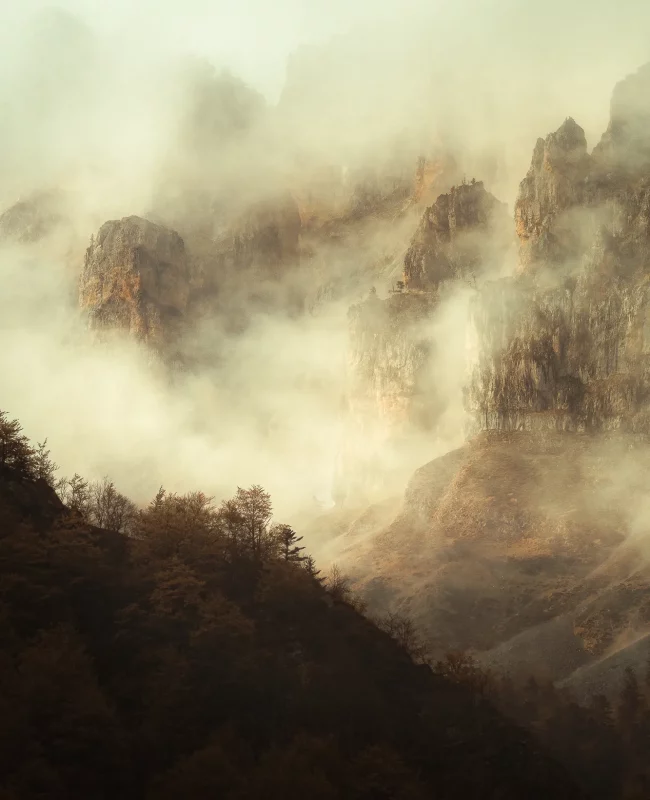 pourquoi-ce-faire-accompagner-en-photographie pourquoi-ce-faire-accompagner-en-photographie